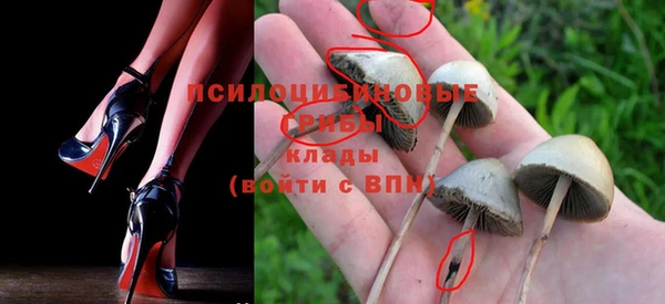 альфа пвп Приозерск