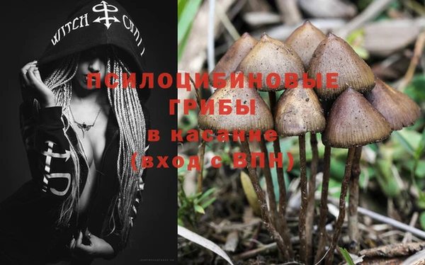 spice Балахна